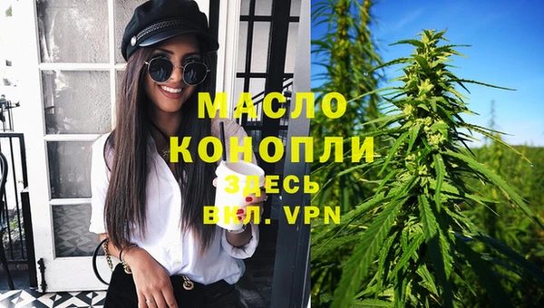 2c-b Бородино